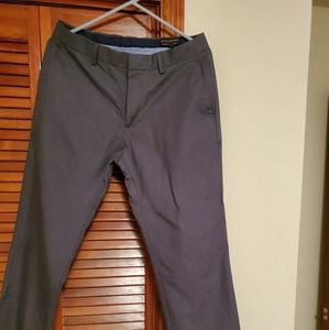 Dress pants